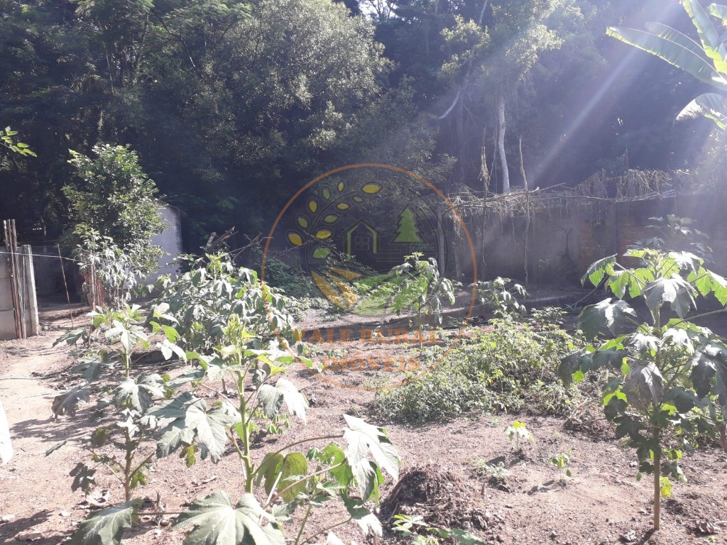 Chácara, 3 quartos, 3200 m² - Foto 3