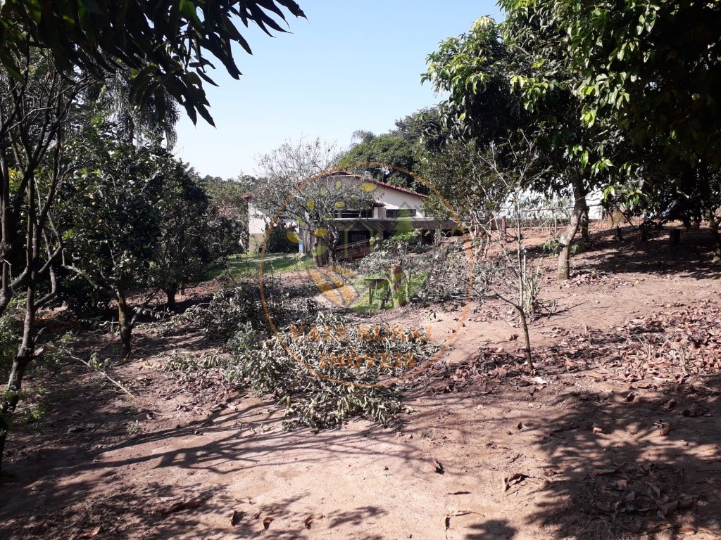 Chácara, 3 quartos, 3200 m² - Foto 2