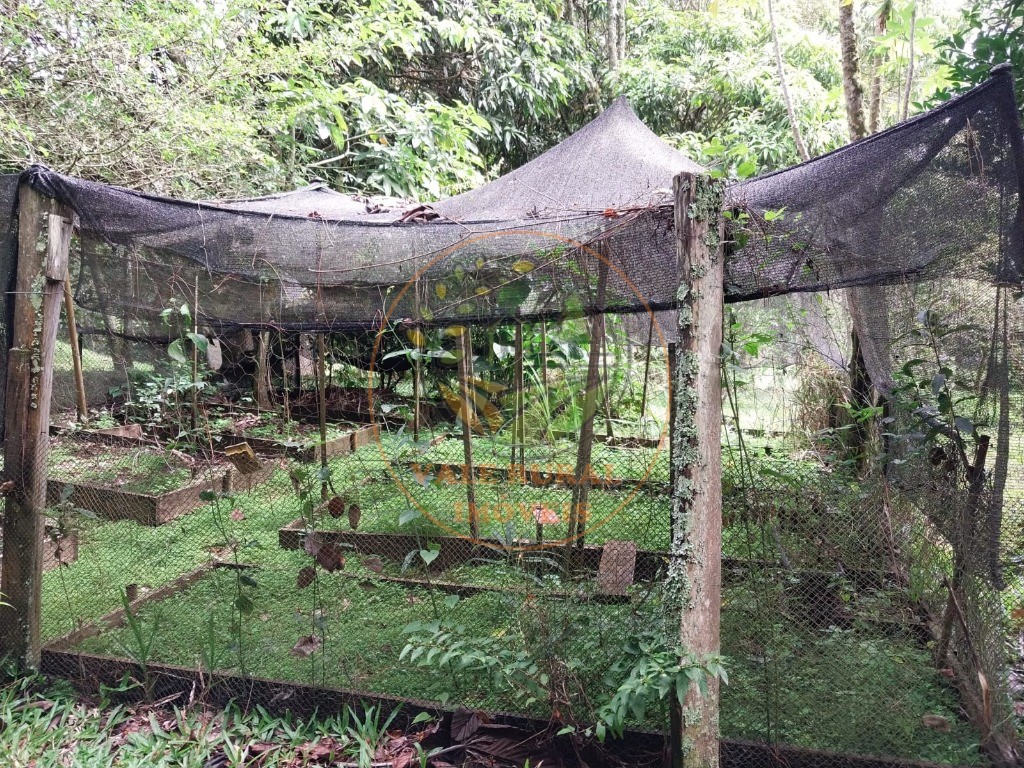 Sítio, 2 quartos, 3 hectares - Foto 39
