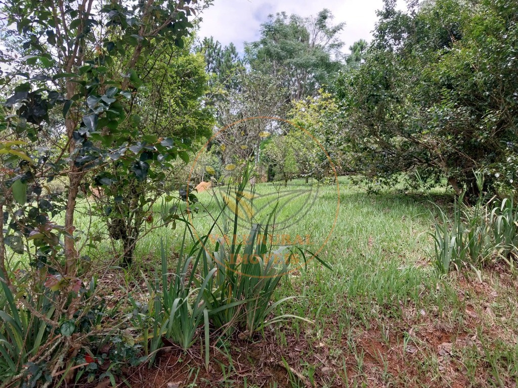 Sítio, 2 quartos, 3 hectares - Foto 14