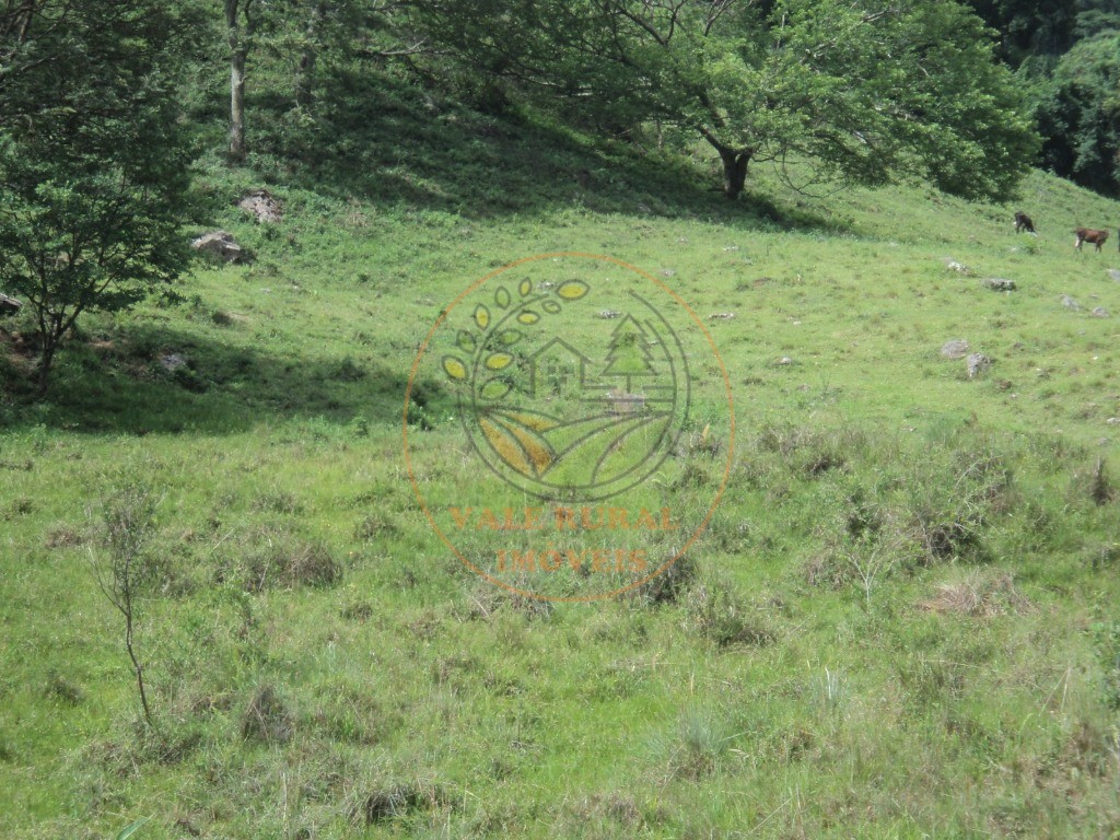 Fazenda, 6 hectares - Foto 12