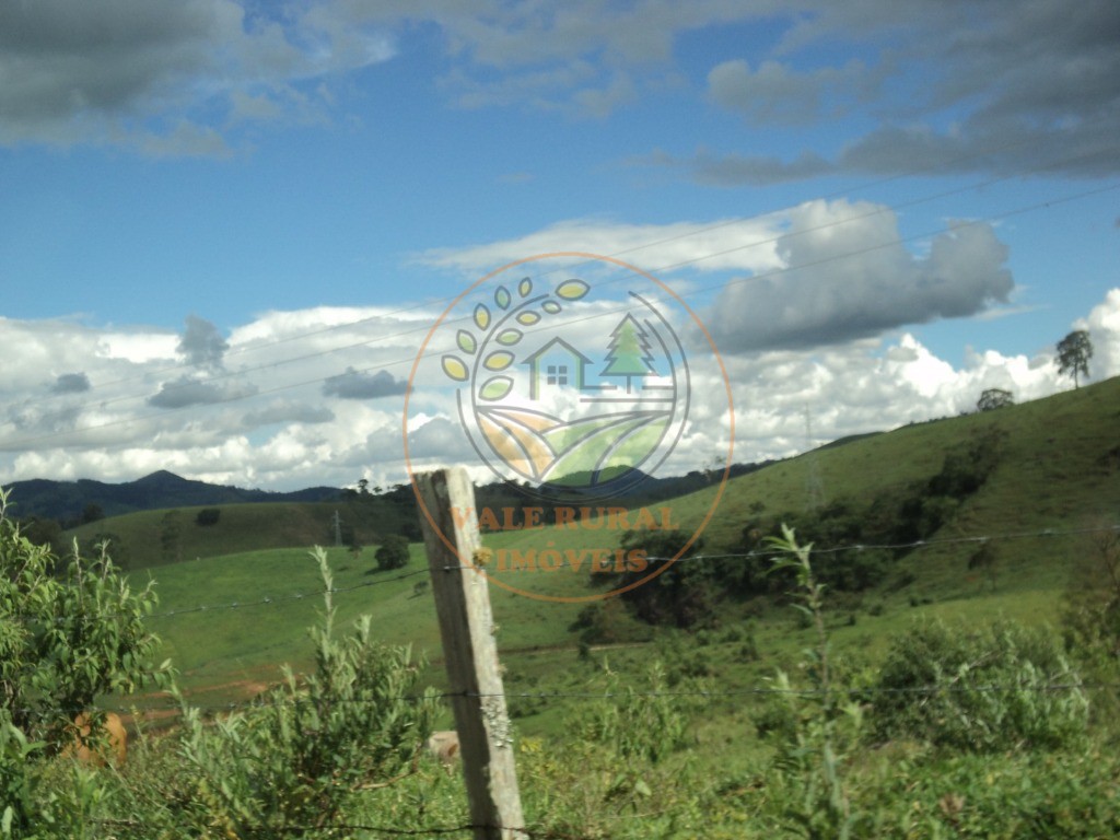 Fazenda, 6 hectares - Foto 24