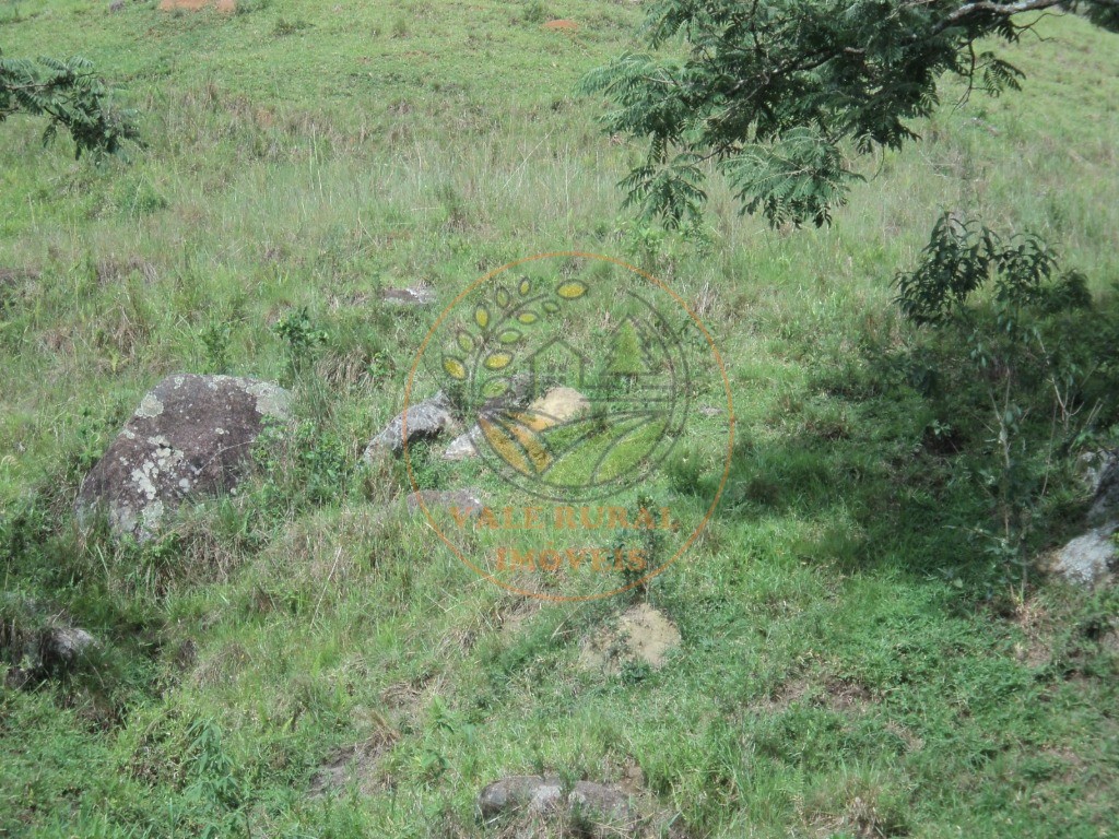 Fazenda, 6 hectares - Foto 13
