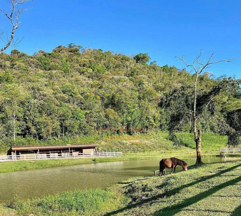 Sítio, 3 quartos, 5 hectares - Foto 4