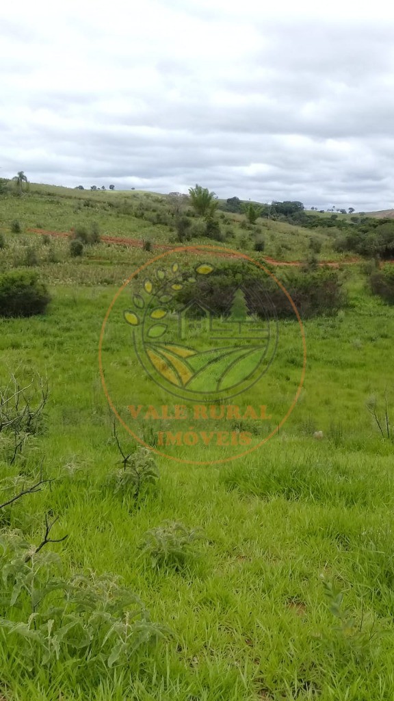 Fazenda, 1 quarto - Foto 9