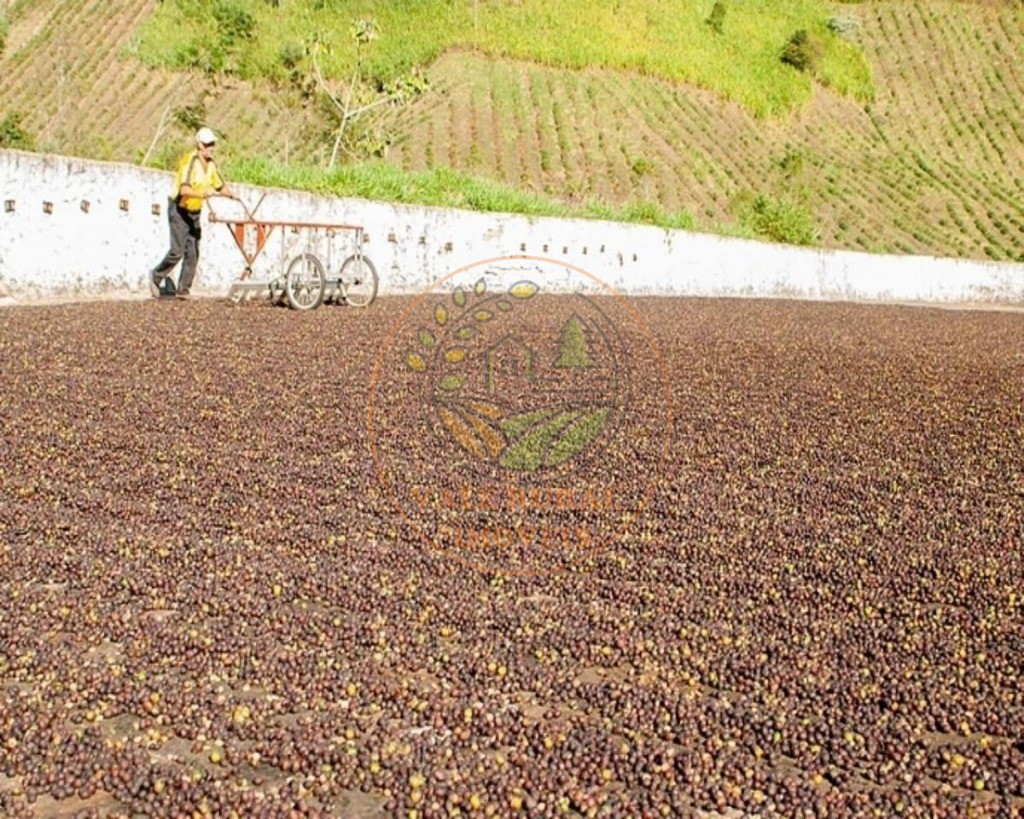 Fazenda, 216 m² - Foto 15