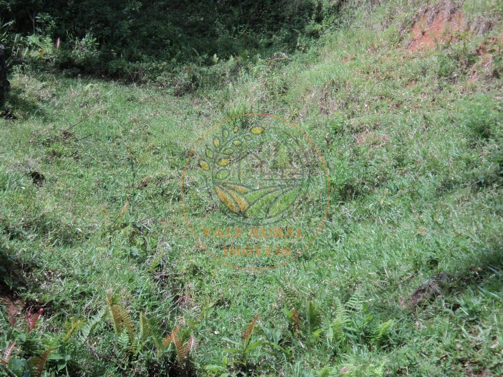 Fazenda, 6 hectares - Foto 26
