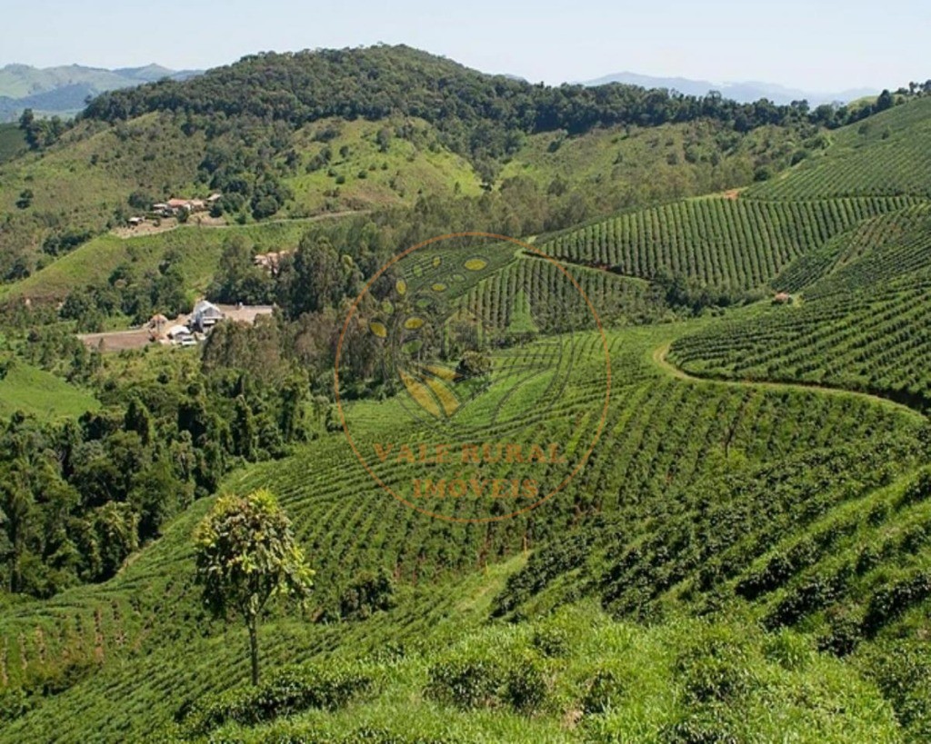 Fazenda, 216 m² - Foto 7