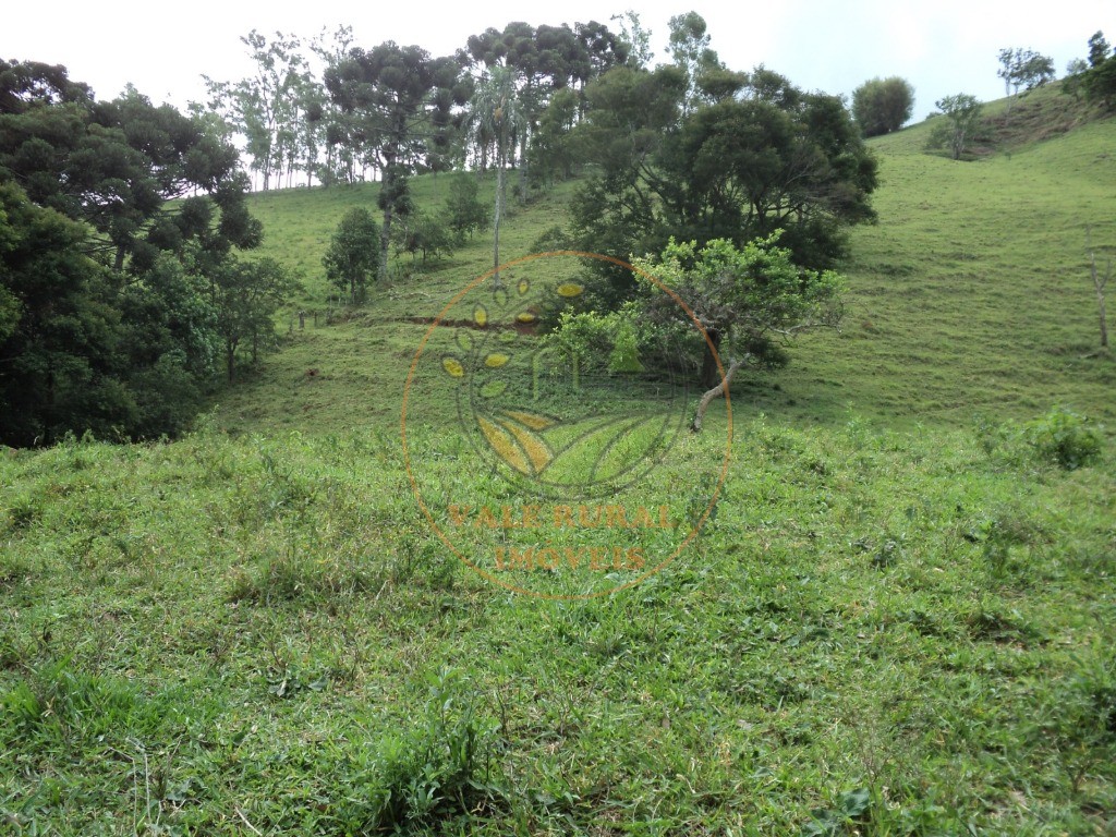 Fazenda, 6 hectares - Foto 11