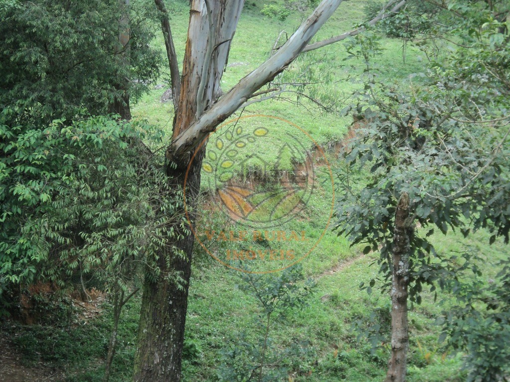 Fazenda, 6 hectares - Foto 3