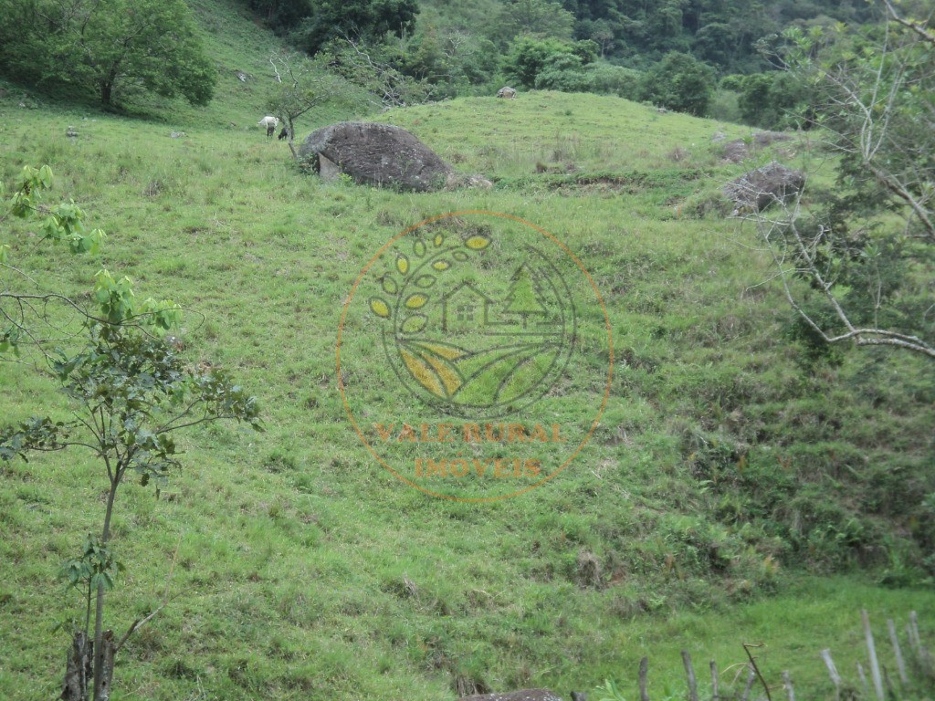 Fazenda, 6 hectares - Foto 2