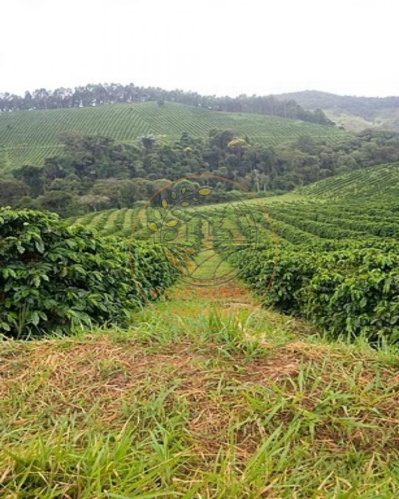 Fazenda, 216 m² - Foto 3