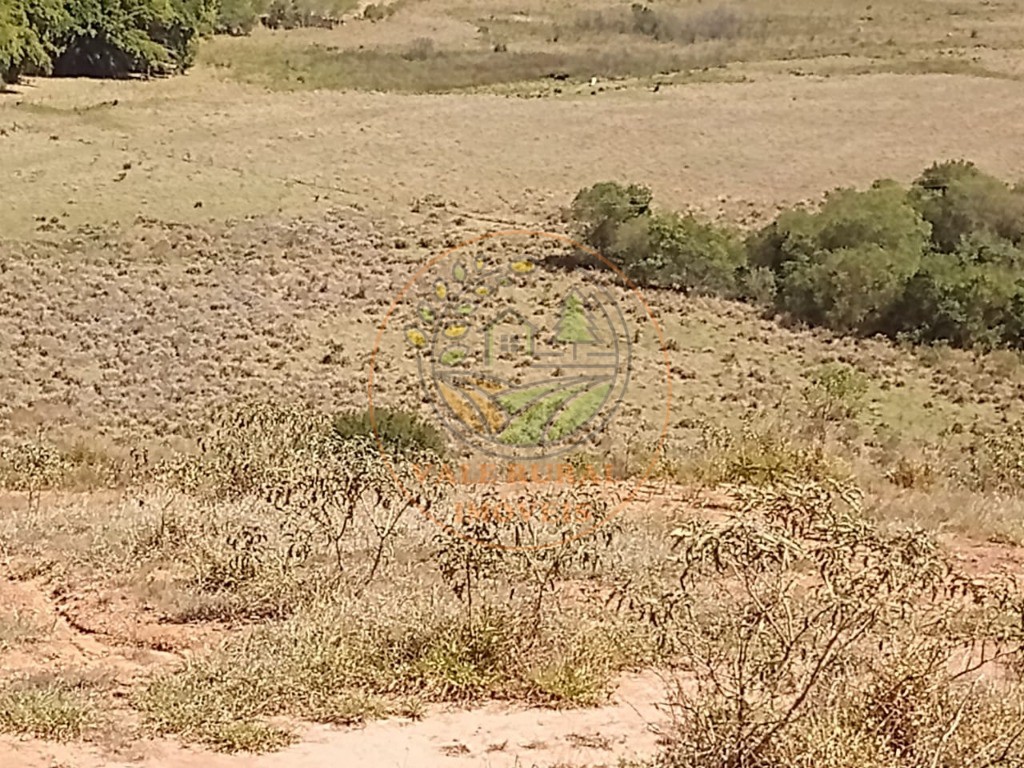 Fazenda, 285 m² - Foto 12