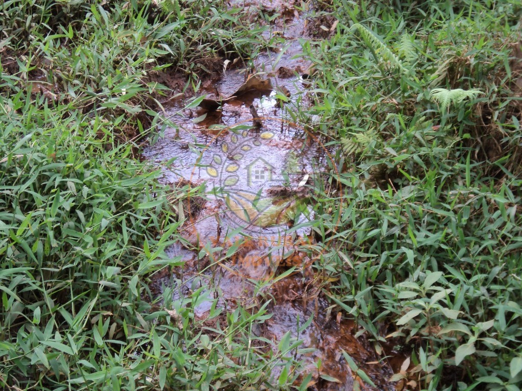 Fazenda, 6 hectares - Foto 1