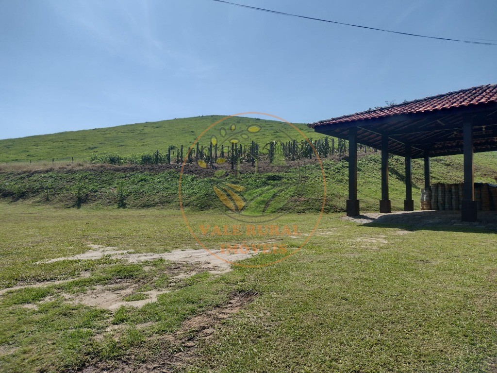 Fazenda, 3 quartos - Foto 6