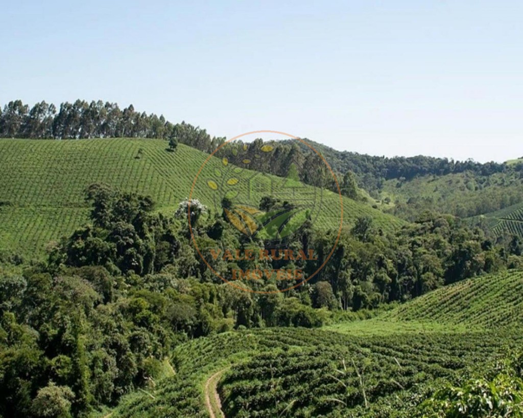 Fazenda, 216 m² - Foto 4