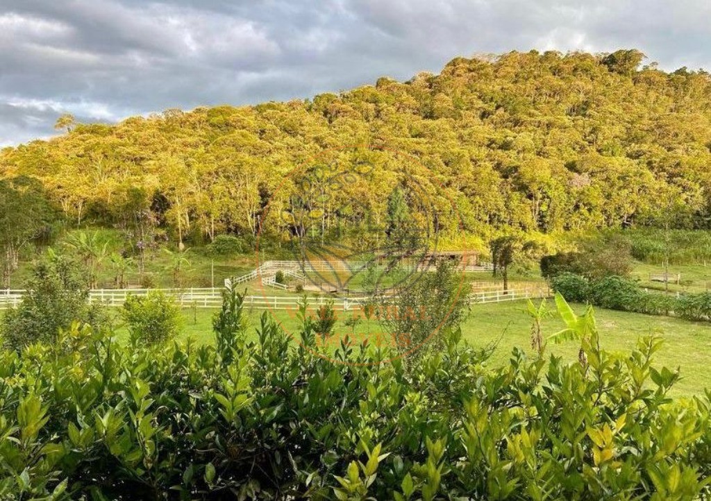 Sítio, 3 quartos, 5 hectares - Foto 6