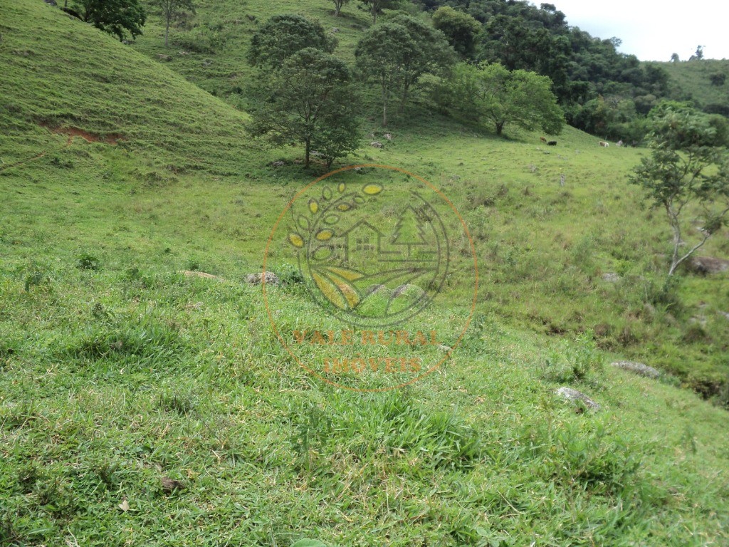 Fazenda, 6 hectares - Foto 8
