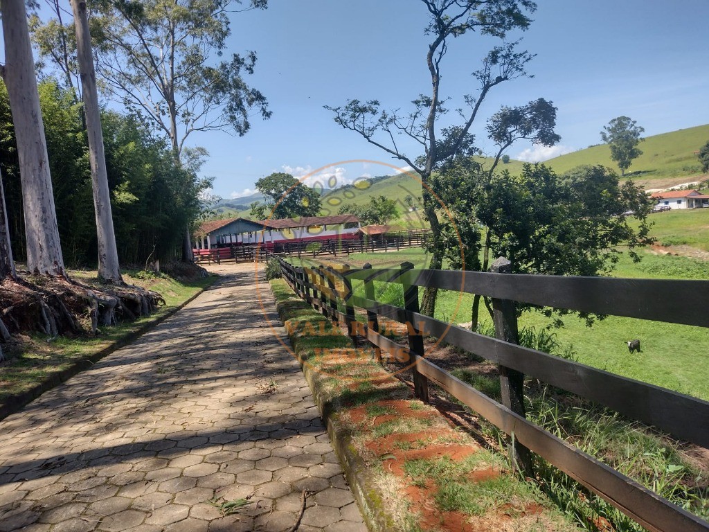 Fazenda, 3 quartos - Foto 9