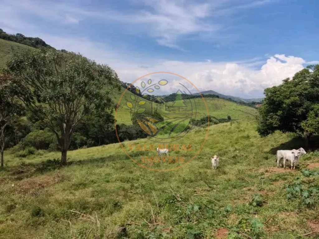 Fazenda, 347 m² - Foto 36