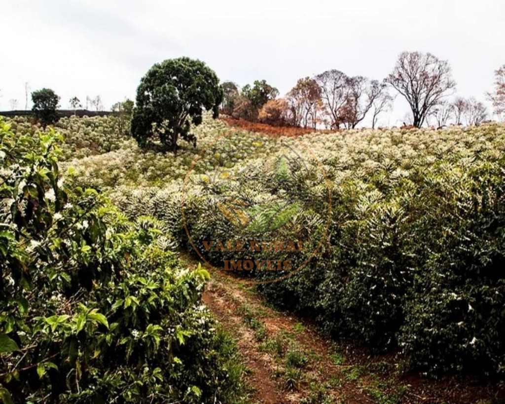 Fazenda, 216 m² - Foto 5