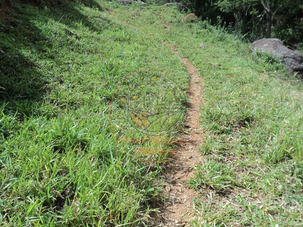 Fazenda, 6 hectares - Foto 16