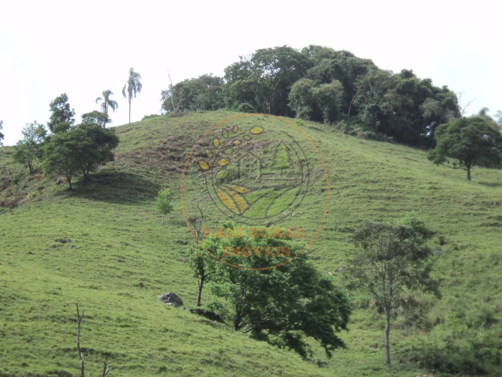 Fazenda, 6 hectares - Foto 14