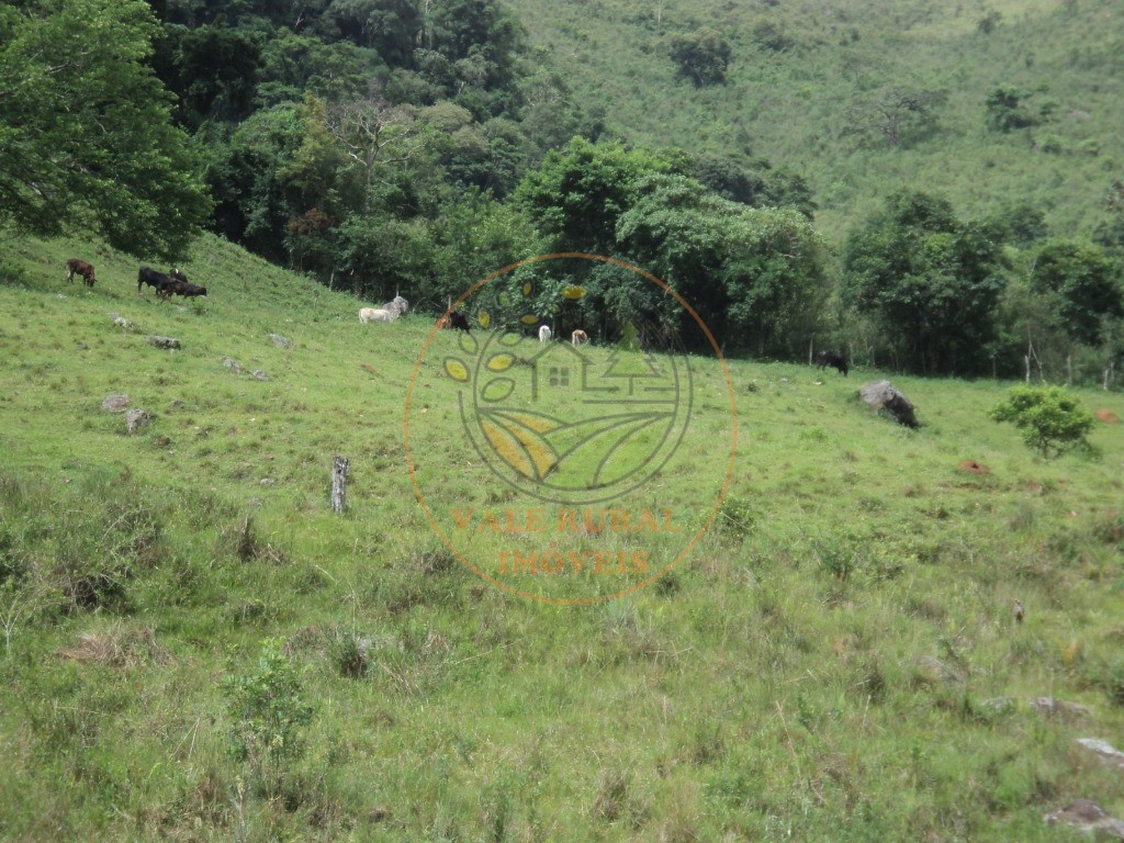 Fazenda, 6 hectares - Foto 10