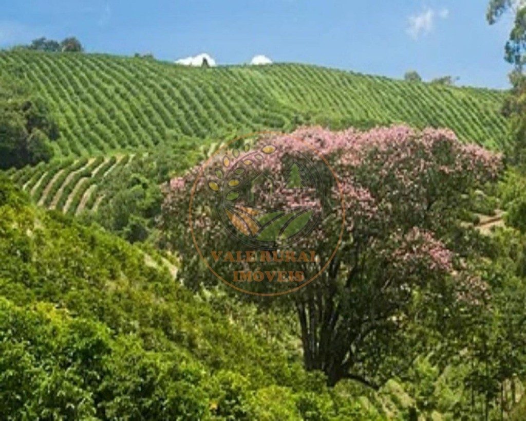 Fazenda, 216 m² - Foto 2
