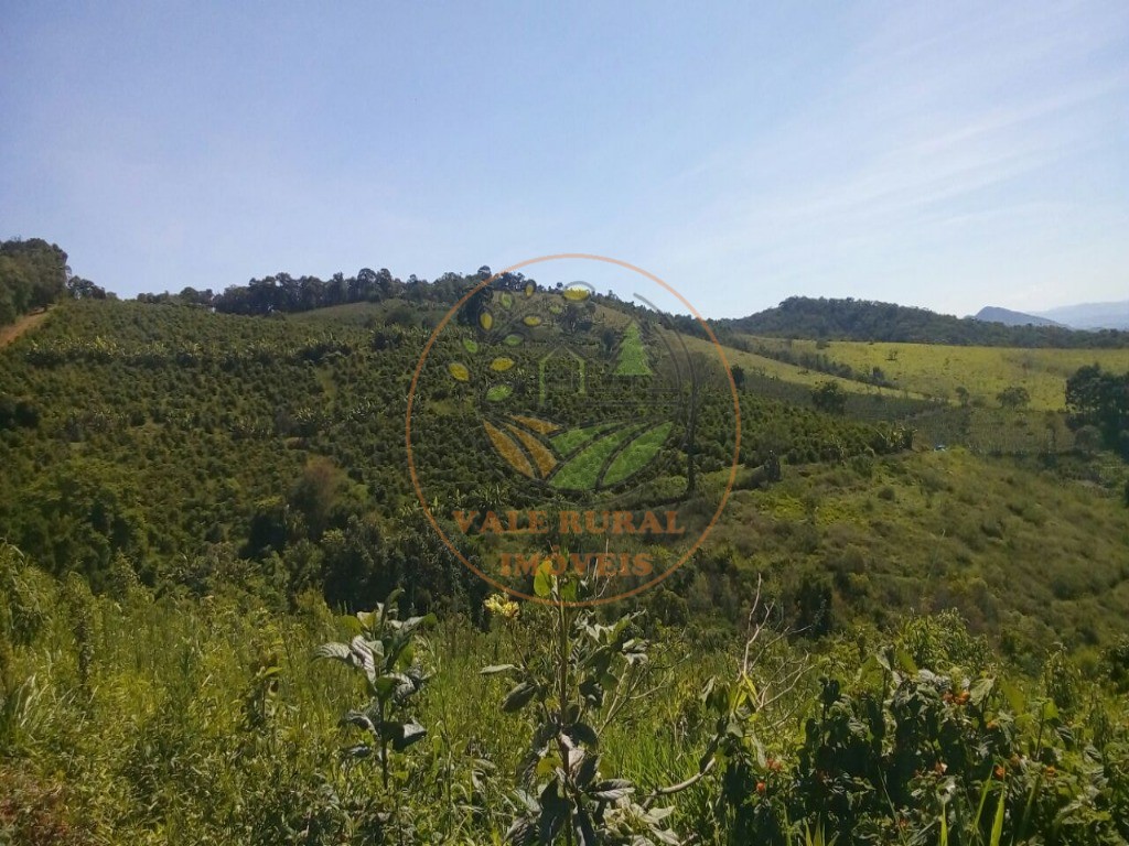 Fazenda, 2 quartos - Foto 12