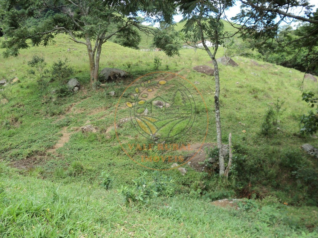Fazenda, 6 hectares - Foto 9