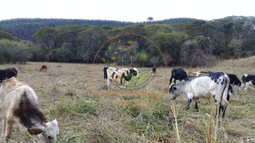 Fazenda, 1 quarto - Foto 6