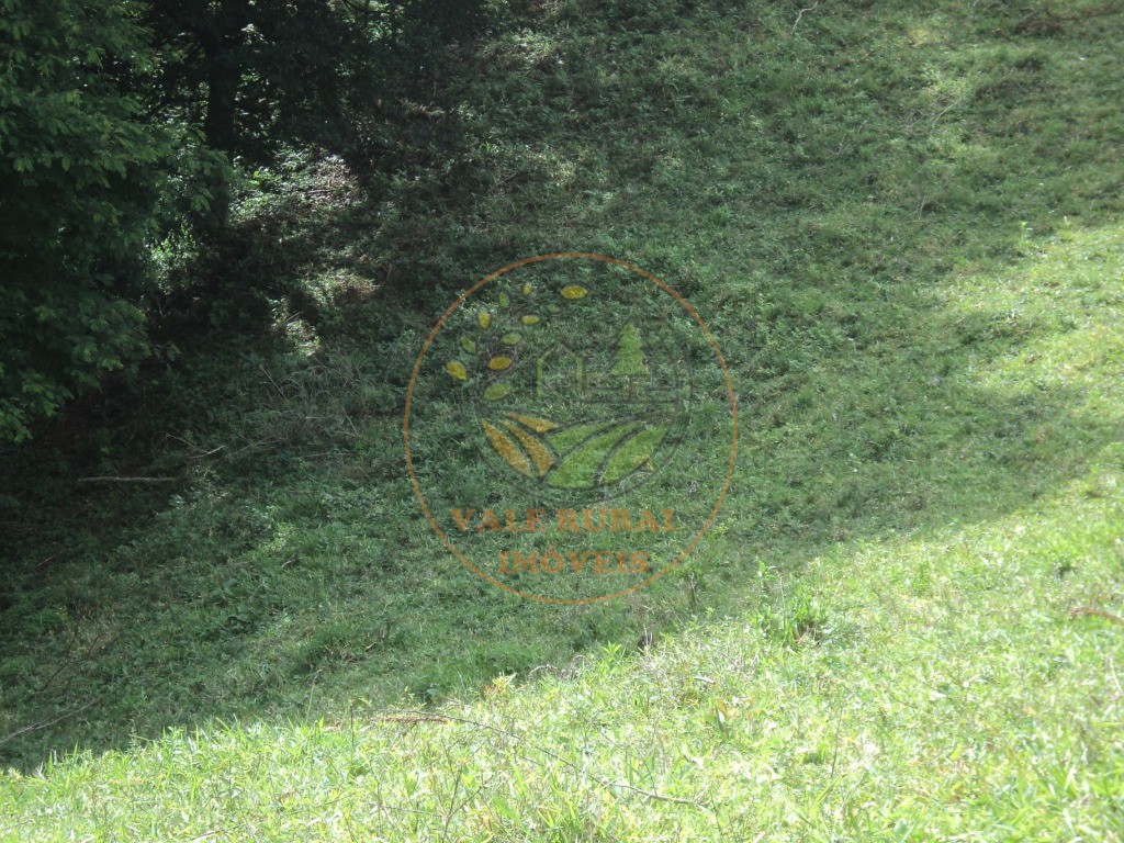 Fazenda, 6 hectares - Foto 18
