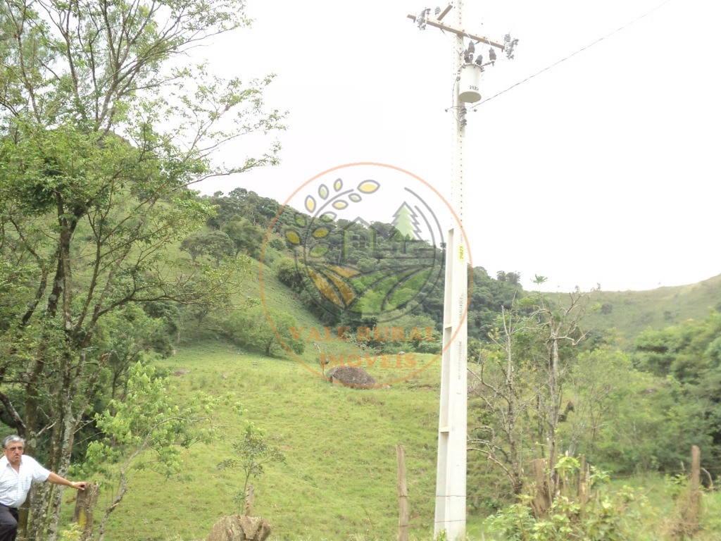 Fazenda, 6 hectares - Foto 4