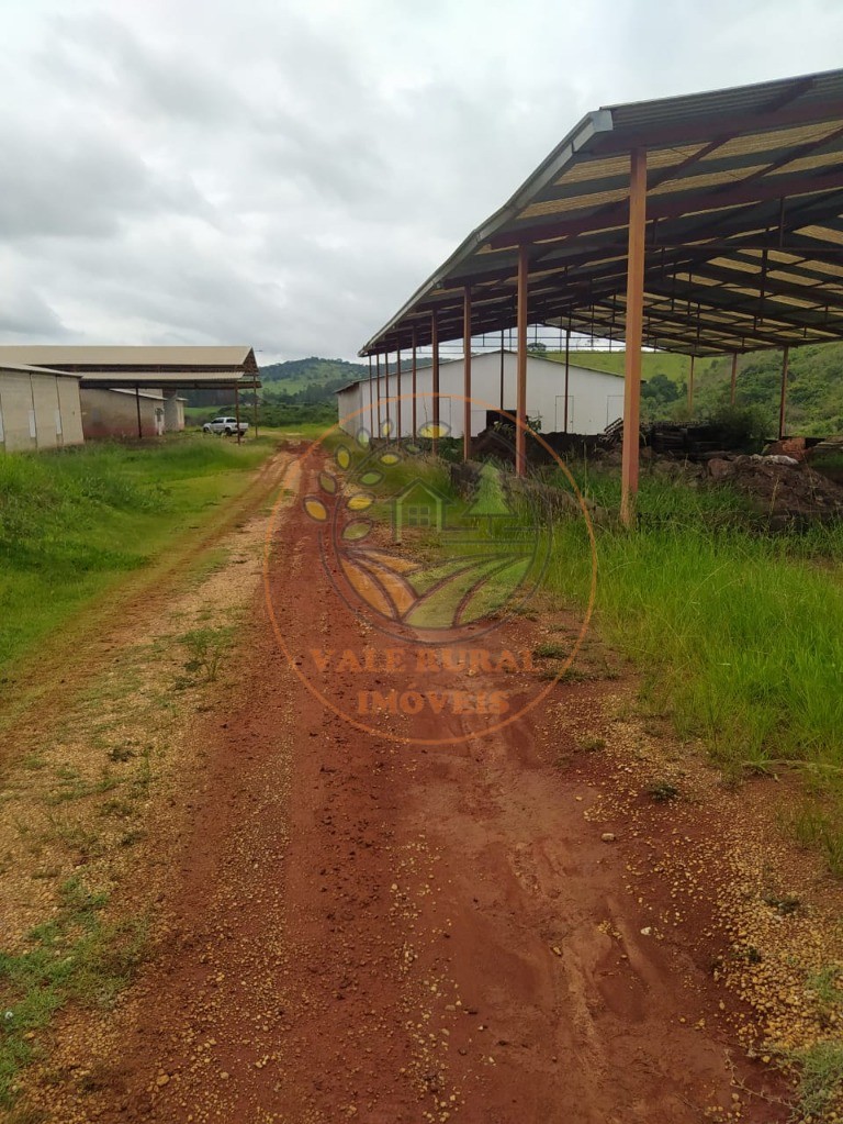 Fazenda, 35 m² - Foto 9