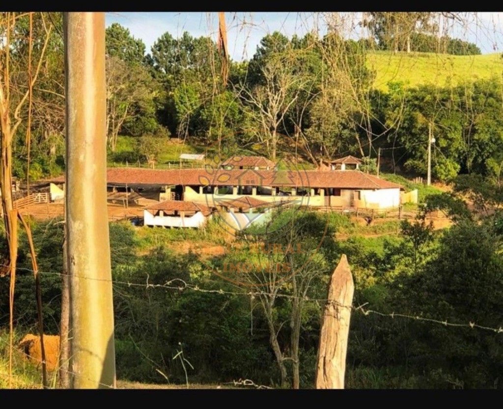 Fazenda, 220 m² - Foto 3