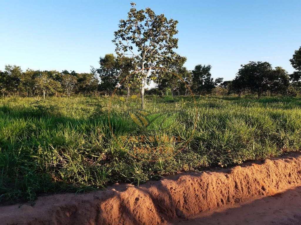 Fazenda, 3300 m² - Foto 11