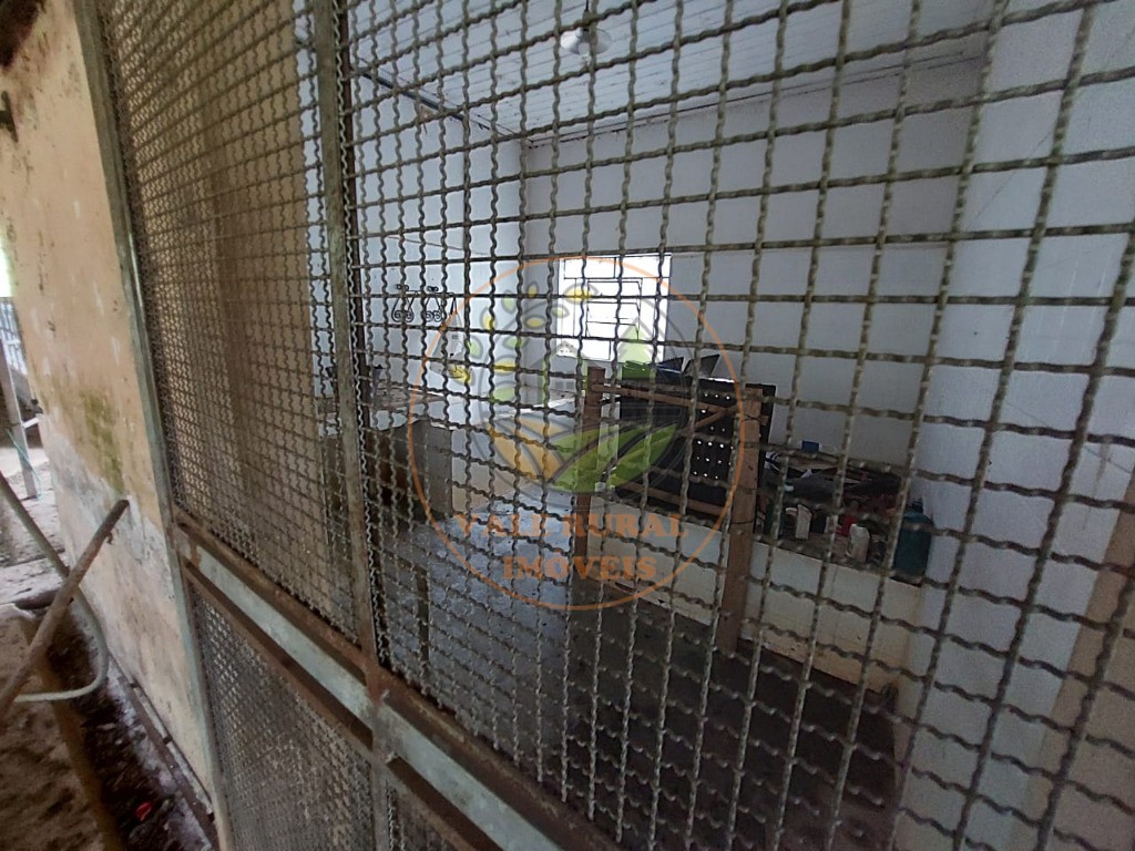 Sítio, 3 quartos, 9 m² - Foto 4