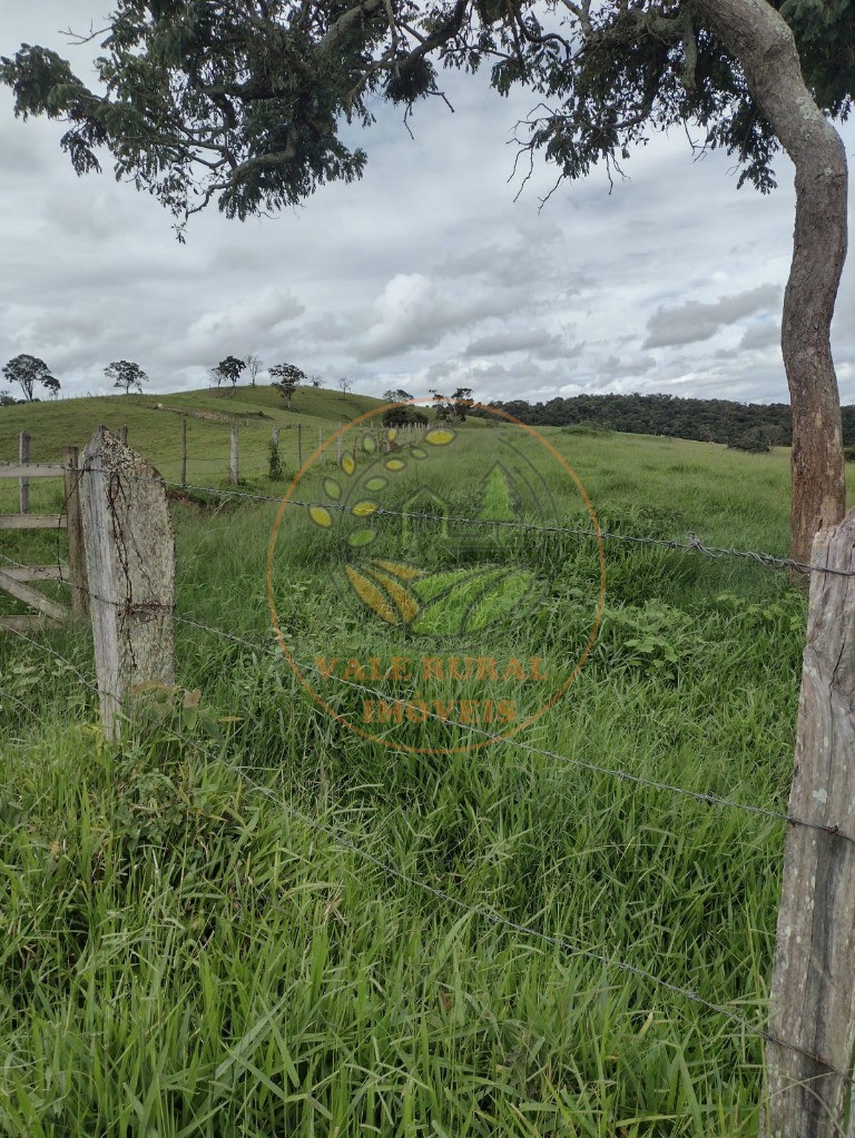 Fazenda, 242 m² - Foto 71