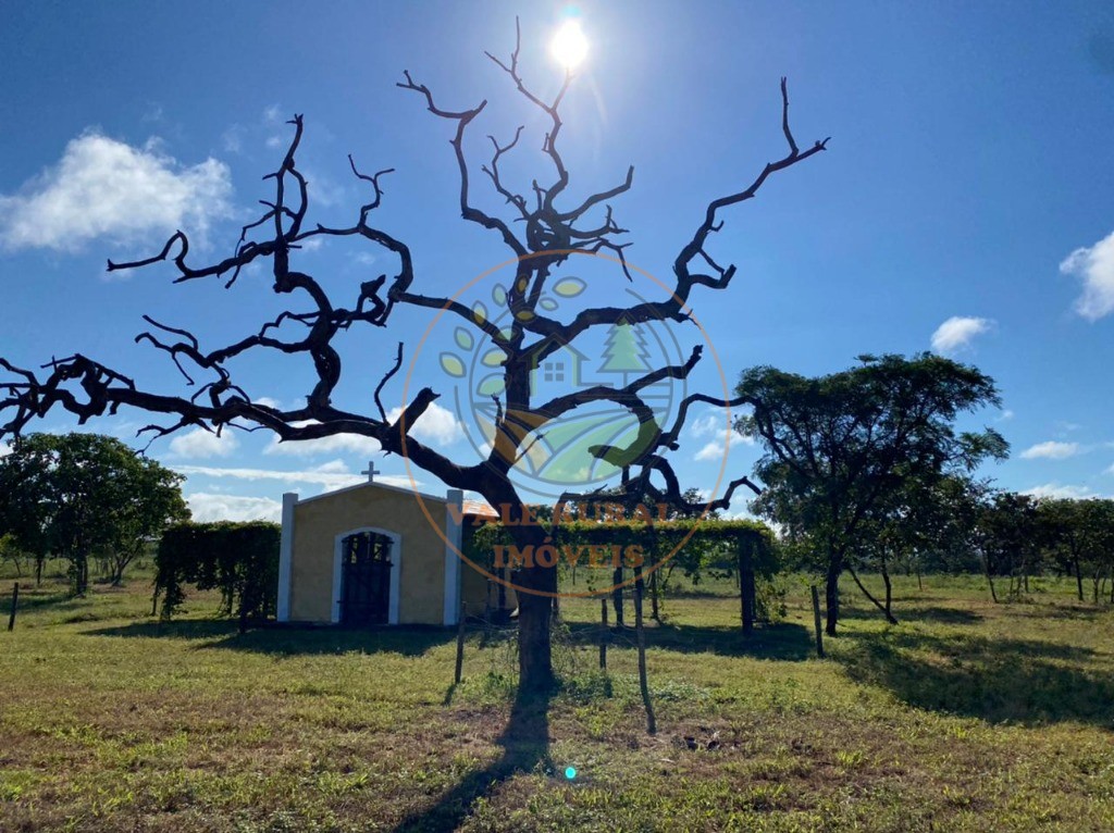 Fazenda, 3300 m² - Foto 7