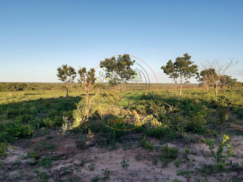 Fazenda, 3300 m² - Foto 16