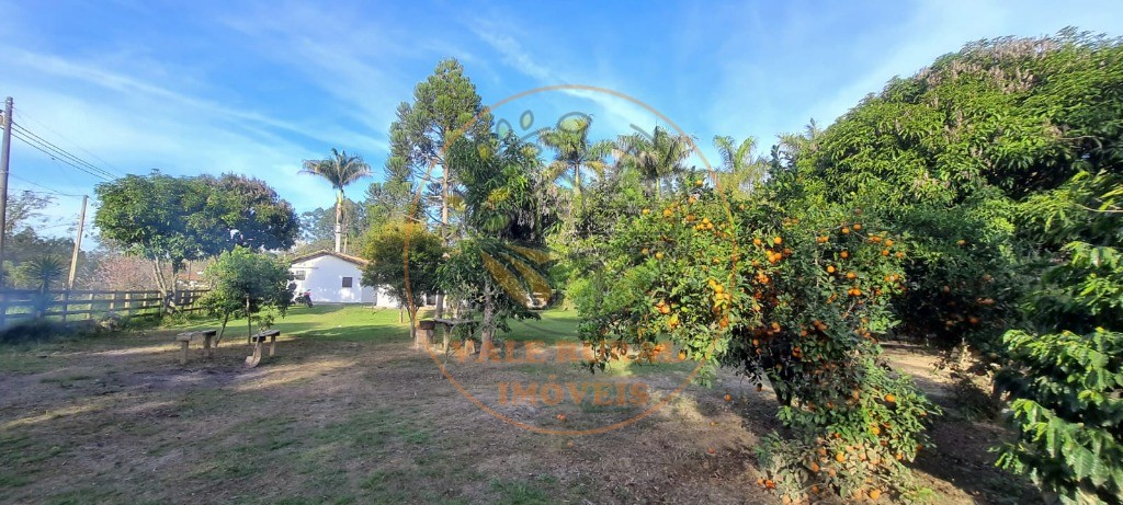 Chácara, 3 quartos, 5000 m² - Foto 26