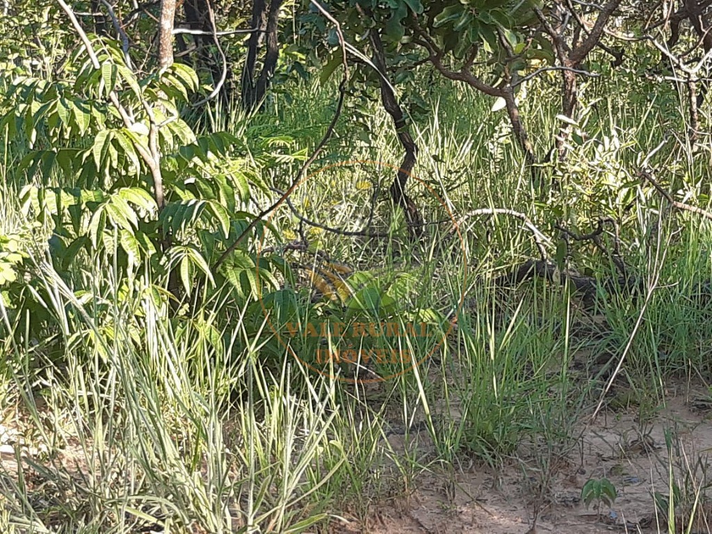 Fazenda, 3300 m² - Foto 8