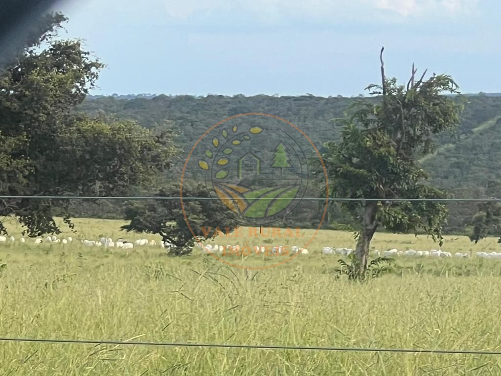 Fazenda, 3300 m² - Foto 23