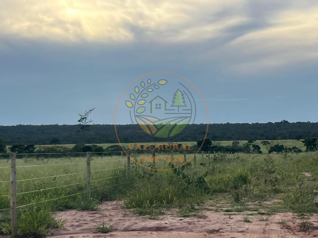 Fazenda, 3300 m² - Foto 4