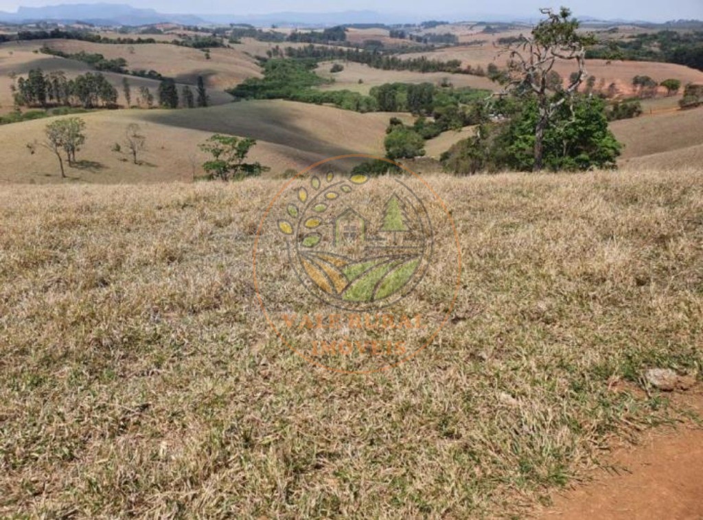 Fazenda, 242 m² - Foto 7