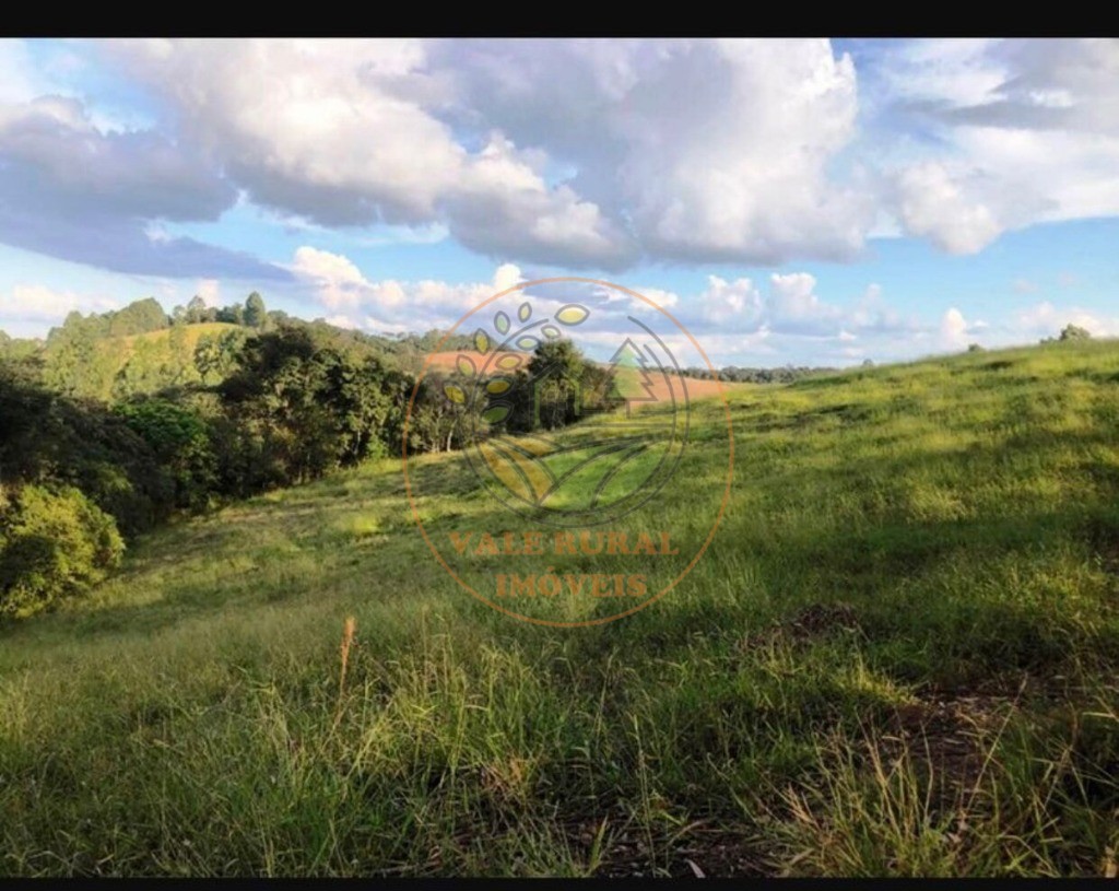 Fazenda, 220 m² - Foto 5