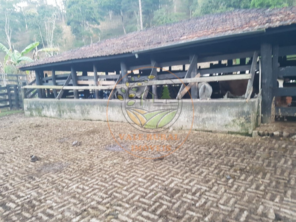 Sítio, 3 quartos, 14 m² - Foto 30