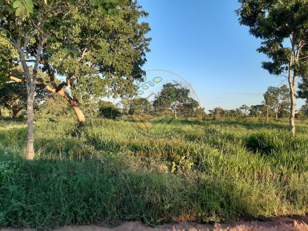 Fazenda, 3300 m² - Foto 10