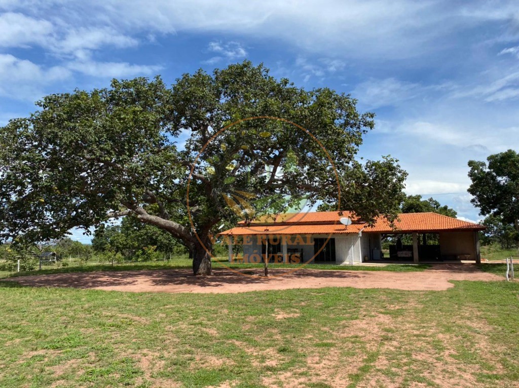 Fazenda, 3300 m² - Foto 5